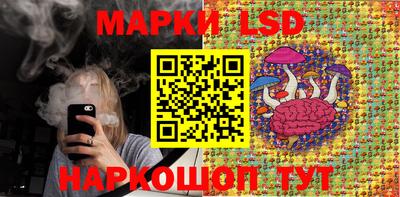 гашик Донецк