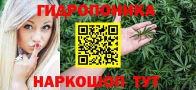 spice Дубна