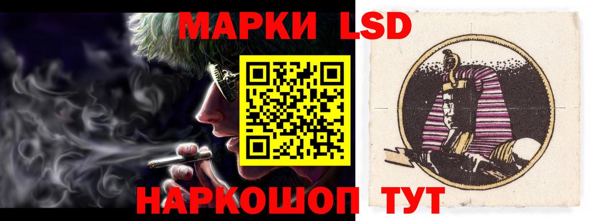Лесной  LSD-25 экстази кислота  блэк спрут вход  LSD-25 экстази ecstasy  Вход с VPN 