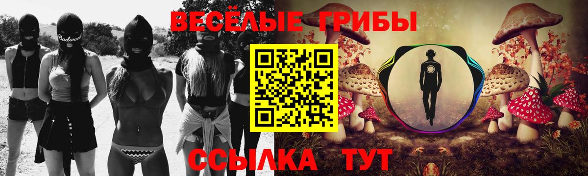 Галлюциногенные грибы прущие грибы Лесной