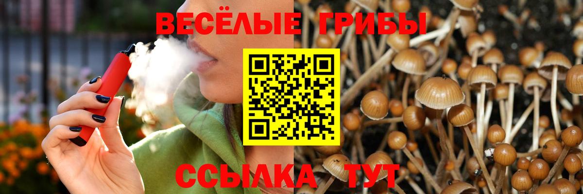 А ПВП Лесной
